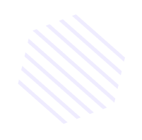 SPEED-NET LTD